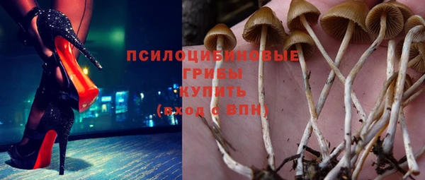 бошки Белоозёрский