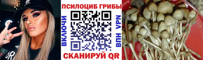 Купить  Дедовск  Галлюциногенные грибы ЛСД 